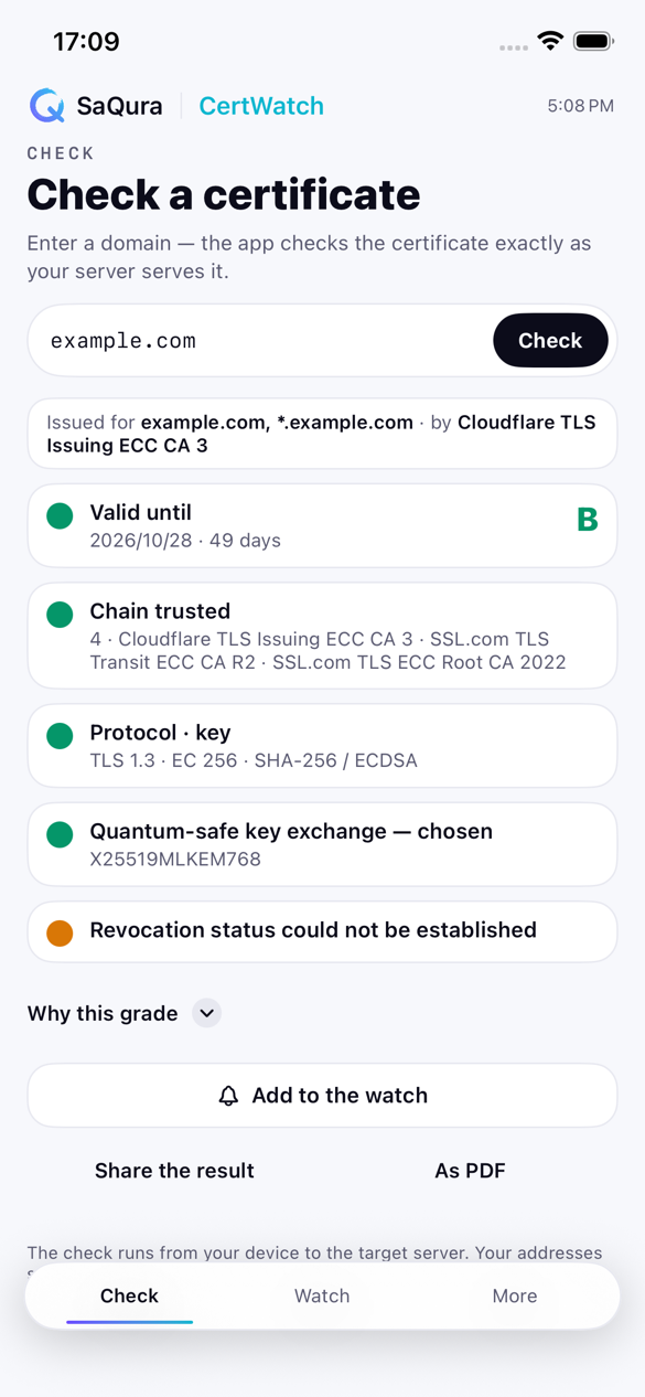 iPhone screen: check of example.com with grade B, days left, trust chain, protocol and revocation status